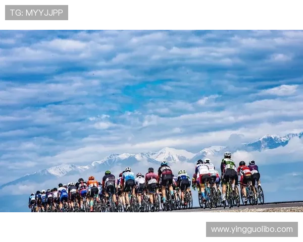 博乐体育官网开户平台优势分析，安全可靠的体育博彩首选