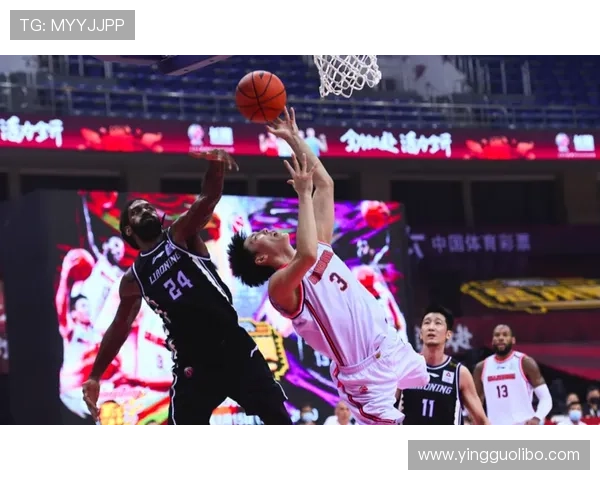 球天下体育全面解析2024年体育产业发展新趋势与机遇